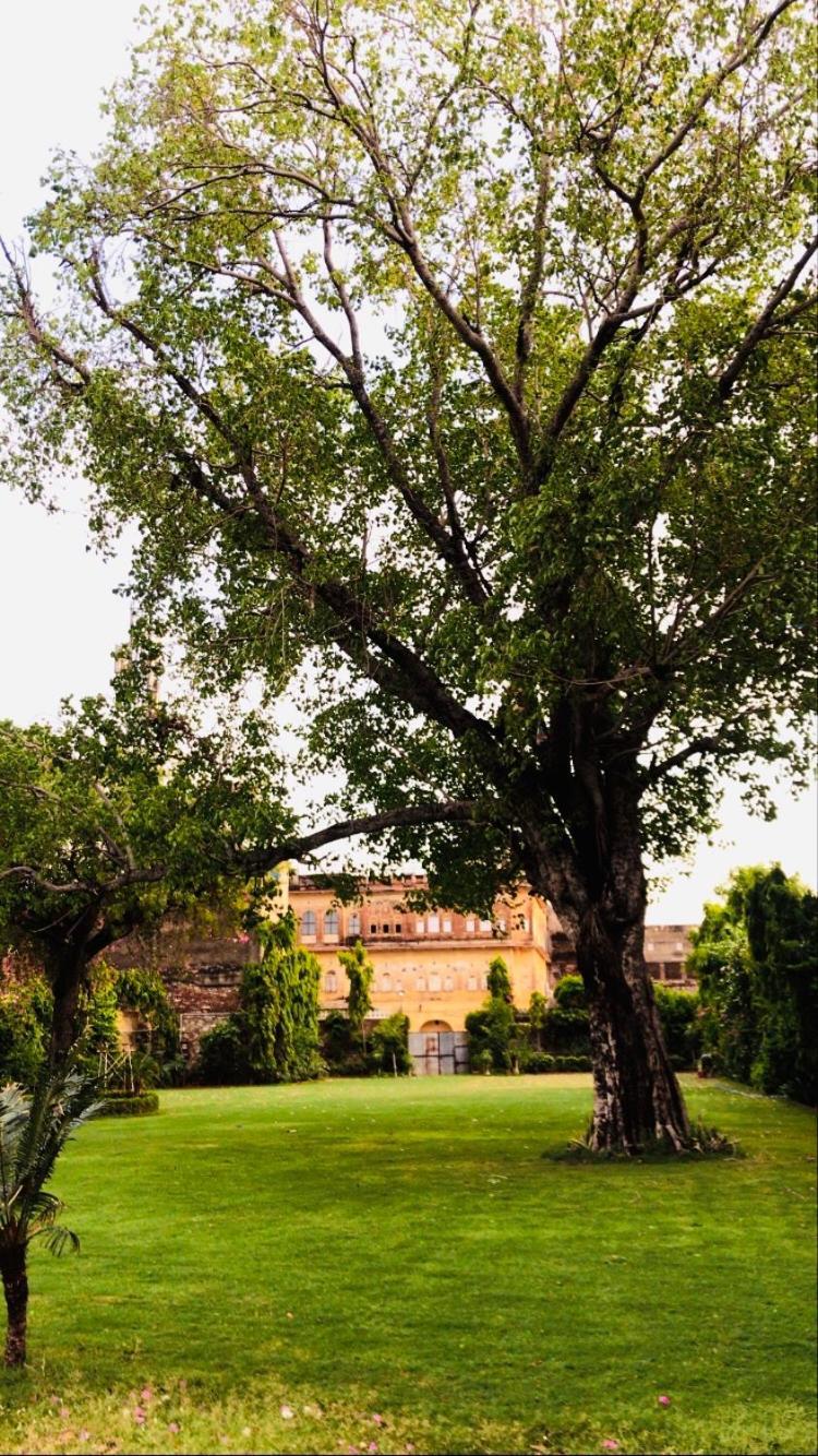 Saba Haveli Hotel Jaipur Bagian luar foto